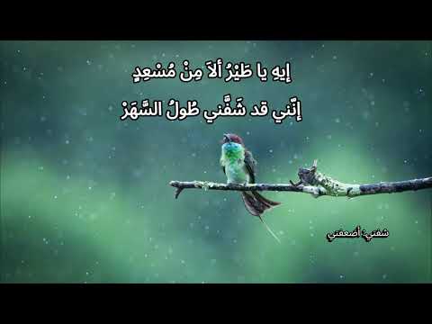 أيها الوسمي حافظ إبراهيم أداء أسامة الواعظ مع شرح