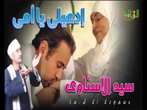 سيد الإسناوي ابوجنات