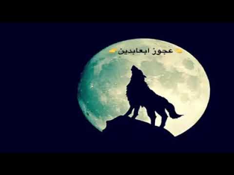 إبداع الفنان رشاد عبدالعال