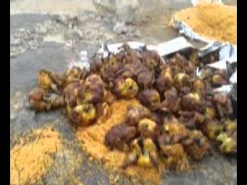 أنشوده عن الإسراف والتبذير في الطعام