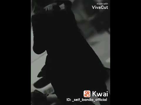 خد عيني خدني باحلامي