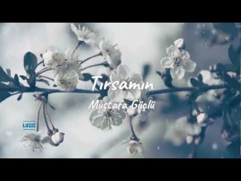 Tirsamin Ne Mirine Bê Te Bune