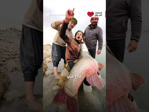 بائع سمك عراقي يحصد ملايين المشاهدات العراق الموصل نينوى Shorts جنة الإمارات