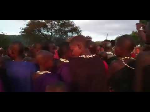 Masai Wa Morogoro Tanzania HARLOFANA1116