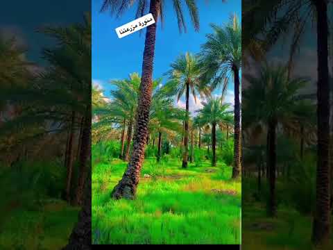 الامور ستكون على مايرام طالما ي دينا م تلاص قه