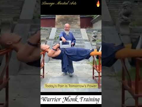Shaolin Warrior Monk Training Shorts Kungfu Martialarts
