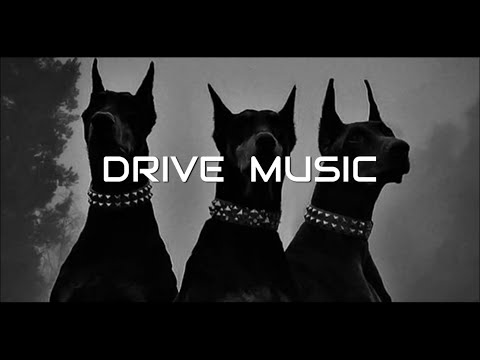 Vodke Pnan HSHK Dogs