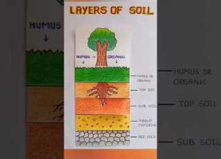  Layers Of Soil Trending Ytshorts Shortsfeed Colourful Layers Pancilart Viral Chart Sketch