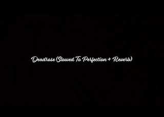  Deadrose Slowed To Perfection ReverbV1 0