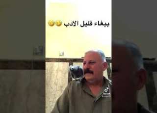  ببغاء قليل ادب كوكو وجوري