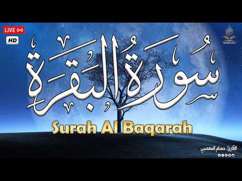 سورة البقرة طاردة الشياطين قران كريم بصوت جميل ومريح جدا تلاوة هادئة للنوم والراحة النفسية
