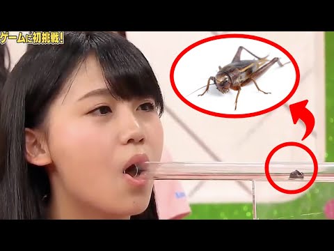 Weirdest Japanese Game Shows Compilation 1