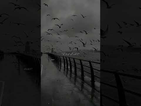 وبعدين كل مت آخد خطوة ارجع اتنين تصميم فيديوهات بدون موسيقى ستوريات انستا