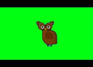 Baraem Owl Brown Yellow Green Screen