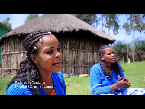 Jiituu Daanyee Karamarraa New Ethiopian Oromo Music Haabaabilee 2021 Official Video