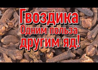  The Benefits And Harms Of Cloves Why Shouldn T You Take Cloves