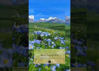 Surah Al Mulk 1 10 Powerful Soothing Recitation Surah Mulk Beautiful Tilawat