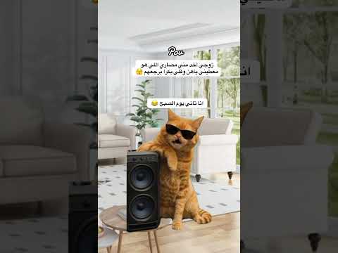 هاتو الفلوس اللي عليكم Viral اكسبلور ترند كوميديات Like Follow مالي خلق احط هاشتاقات هاتو الفلوس اللي عليكم Viral اكسبلور ترند كوميديات Like Follow مالي خلق احط هاشتاقات