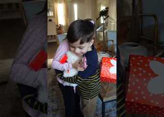  Our Son Asked His Crush To Be His Valentine Shorts