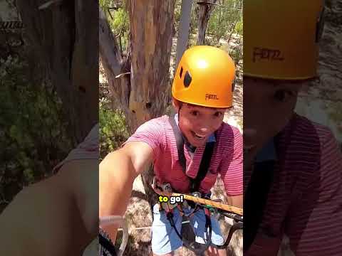 وسط شهر از بین درختا بالا میری