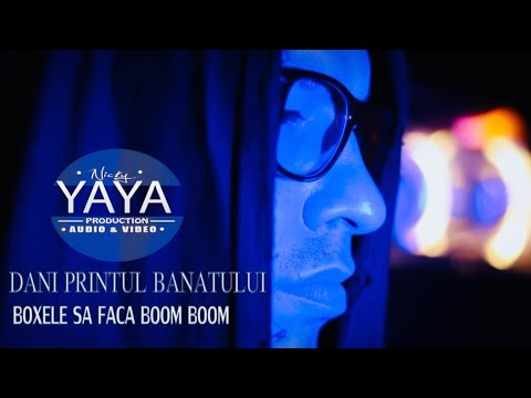 DANI PRINTUL BANATULUI Boxele Să Facă Boom Boom Repostata