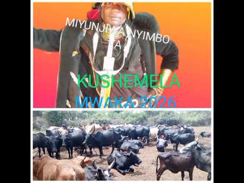 MIYUNJIWA NYIMBO YA YAKUSHELA MSAMBAZAJI WAITI STUDIO 25 1 2026