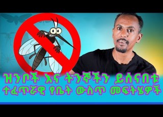 ዝንቦች ጉንዳኖች እና ትንኞችን ይሰናበቱ ተፈጥሯዊ የቤት ውስጥ መፍትሄዎች