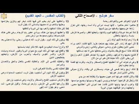 سفر هوشع 2 الإصحاح الثاني د مجدى نجيب ابونا ابرام