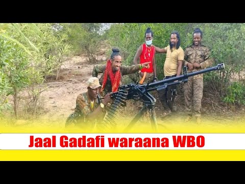Jaal Gadafi Waraana WBO