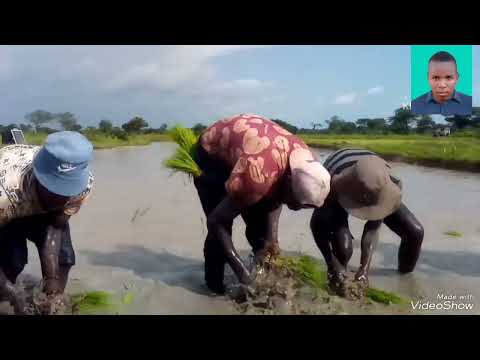 Shinje Oringinal Video Mpya Dj Damasi Ilungu 2026