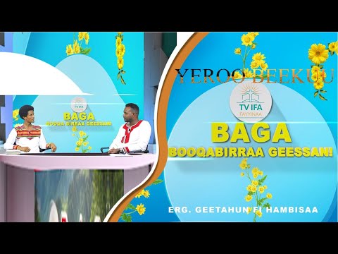 YEROO BEEKUU QOPHII ADDAA ERG GEETAHUN IMMIRUU FI HAMBISAA GURMUU