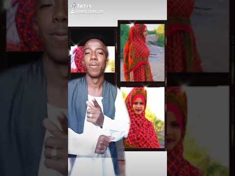 اغاني تقري تيك توك ارتريا New Eriteran Tik Tok Music Tegra
