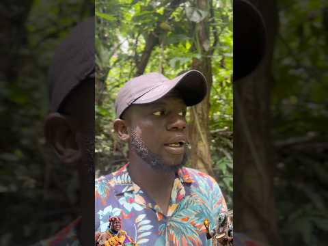 Komfo Anokye Pronounced A Curse On The Wewe River During The Early Formation Of The Asante Kingdom