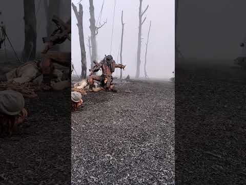 Making Prey Prey2022 One Of My Favorite Stunts Of Predator Preymovie