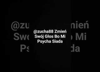 2024 Shorts Zucha88 Siada Mi Psycha Od Twojego Głosu