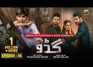  Guddu Episode 46 Eng Sub Ali Abbas Fatima Effendi Sohail Sameer 2nd Oct 2022 HAR PAL GEO