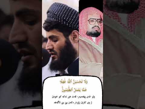 رعد الكردي يحاكي علي جابر ما تيسر من سورة إبراهيم
