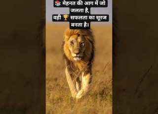 Best Study Motivational Shayari Shots Viral Shots Like Subscribe Comment Study Motivation