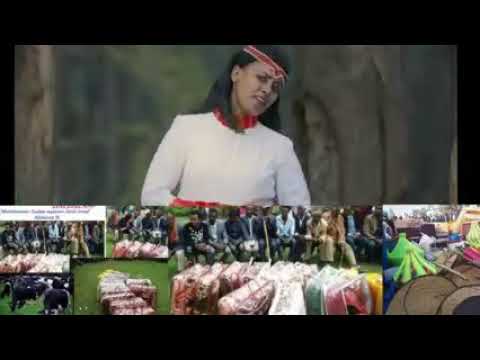 Fayyoo Motii Gabbara Arsii Kessatti