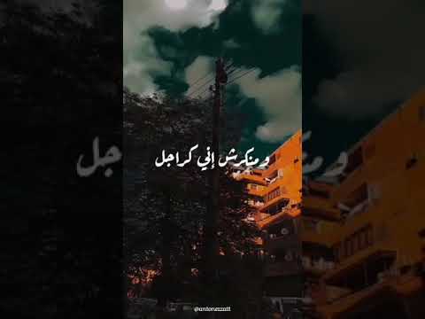 حاله واتس انتى حلوه وحياتي بيكى حلوه للفنان محمود العسيلي حاله واتس انتى حلوه وحياتي بيكى حلوه للفنان محمود العسيلي