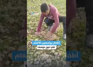  أطفال يفككون ألغاما في مناطق كانت تابعة لـ قسد شمال الرقة في مشهد صادم