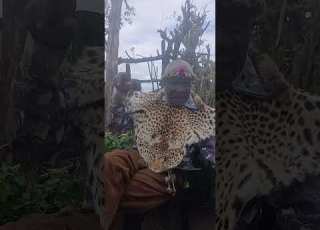  Kuhle Ukulanda Inqalabutho Zizochaza Ngesintu
