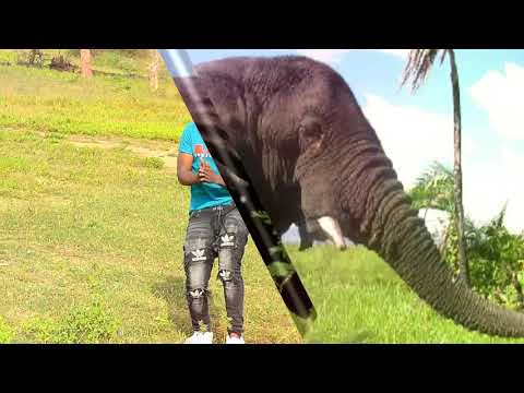 Chief Nyihocha Omwibhori Official Video