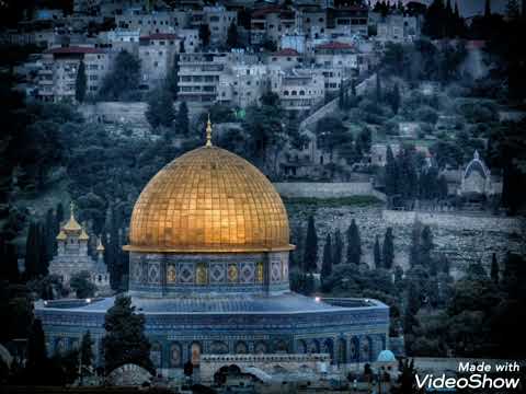 شدوا بعضكم يا اهل فلسطين بدون موسيقى شدوا بعضكم يا اهل فلسطين بدون موسيقى