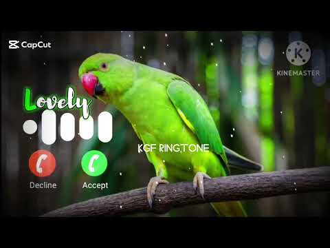 Message Ringtone Notification Ringtone SMS Ringtone Mgs Ringtone Message Tone Ringtone