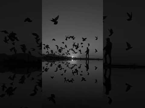 Karim Mohsen Aanedna Leeh كريم محسن عاندنا ليه Karim Mohsen Aanedna Leeh كريم محسن عاندنا ليه