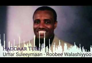 Best Oromo Music Umar Suleeymaan Roobee Walashiyoo Haddaar Tube