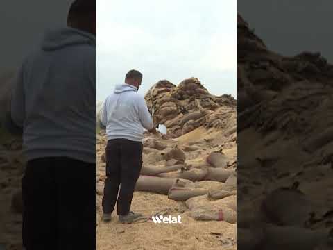 إثر هجوم بالطائرات المسيرة احتراق مستودع قمح قرب قاعدة قسرك بريف الحسكة إثر هجوم بالطائرات المسيرة احتراق مستودع قمح قرب قاعدة قسرك بريف الحسكة