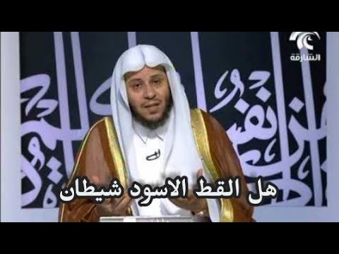 هل القط الاسود شيطان الشيخ عزيز العنزي