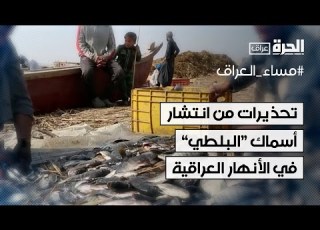 مختصون يحذرون من انتشار أسماك البلطي في الأنهار العراقية